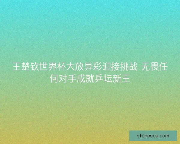 王楚钦世界杯大放异彩迎接挑战 无畏任何对手成就乒坛新王